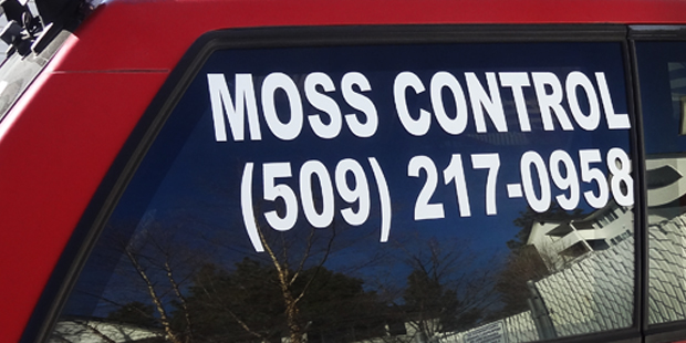 Spokane Moss Cleaning